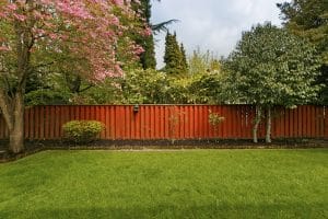 Backyard landscaping tips and tricks