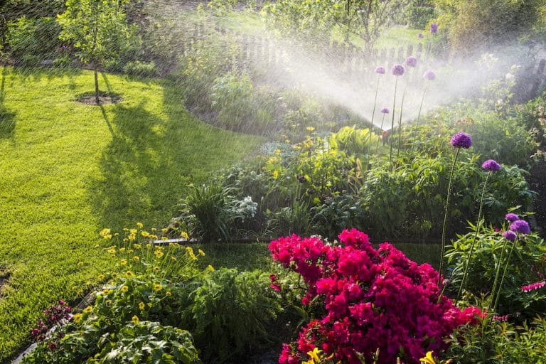 Irrigation Systems Melbourne Home & Garden Water Drainage Solutions