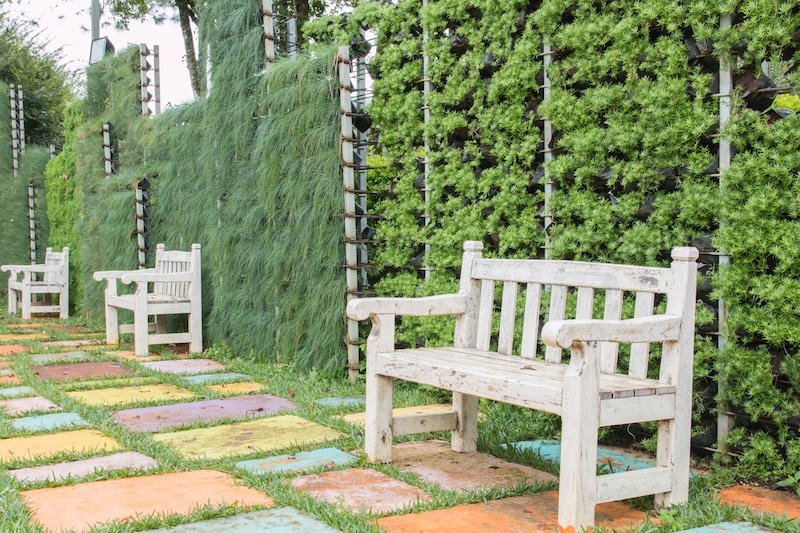 Tips & Tricks for Green Walls & Vertical Gardens