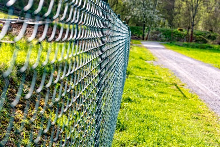 All You Need to Know About Fencing Laws in Victoria Everlast Services
