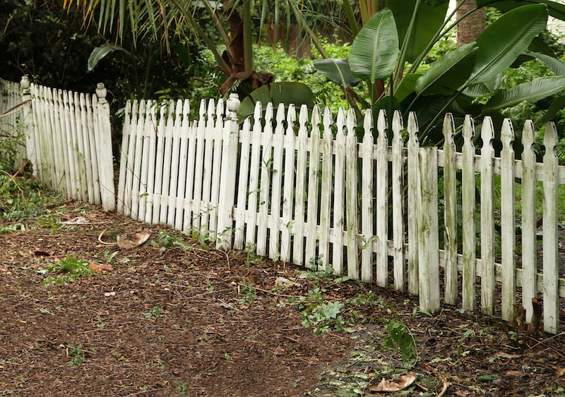 Top 7 ways to get your fencing & gate choice wrong