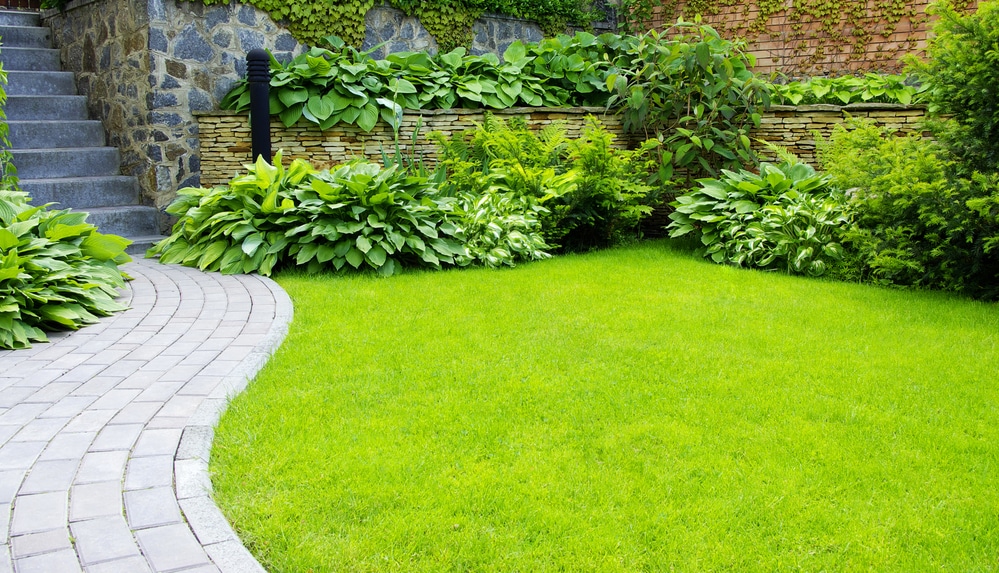 How to create a minimalist garden