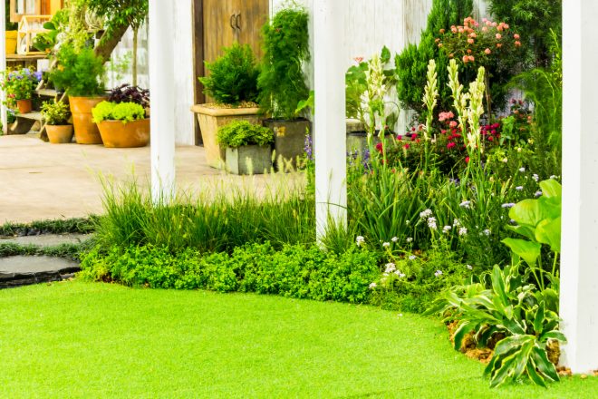 How to Make Your Front or Back Garden More Eco-Friendly