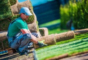 Tips for choosing the right landscaper