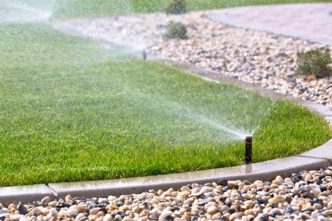 Backyard Irrigation System
