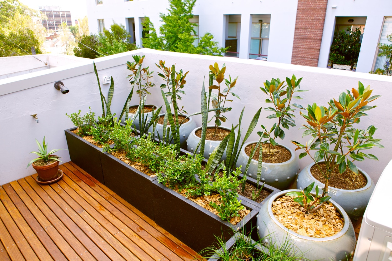 Rooftop garden in a small urban spaces