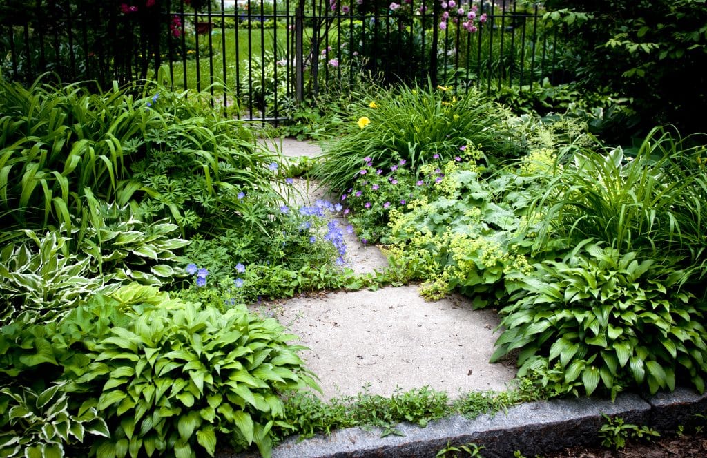 What Types of Concrete Garden Edging Are There?