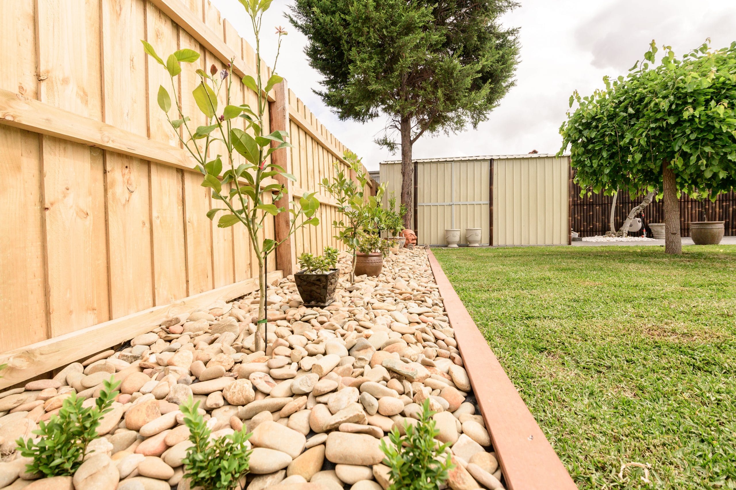 L256 - Ascot Vale - Garden with rocks