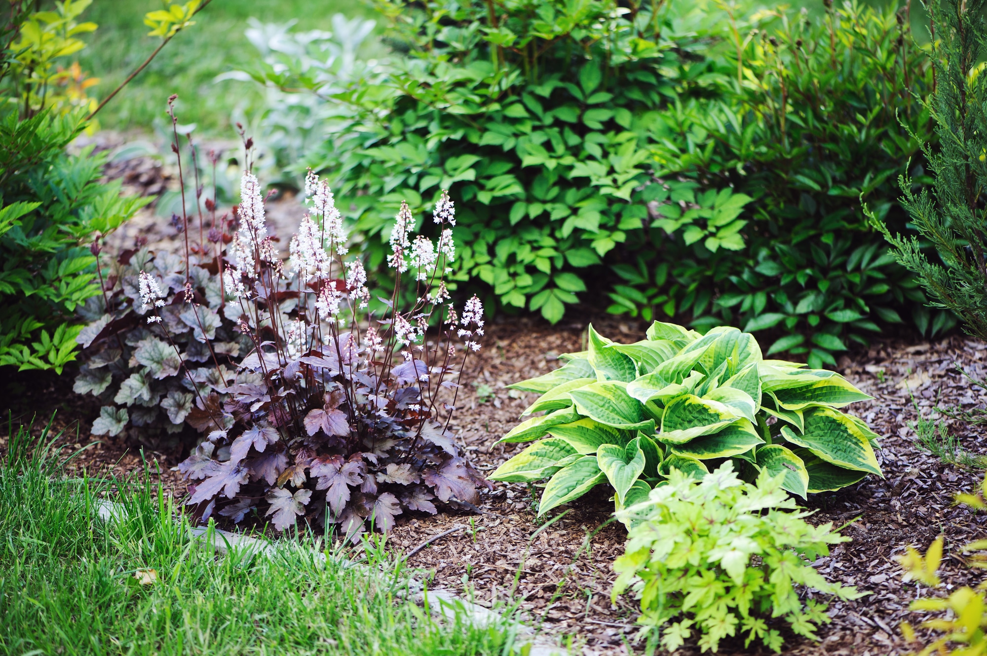 landscaping tips for summer