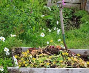 beginners guide to composting