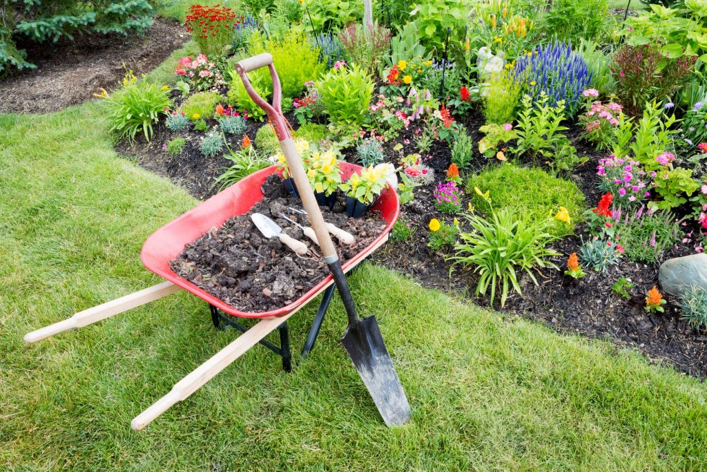 Wheelbarrow and Garden Tools