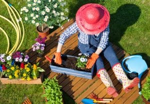 summer gardening guide