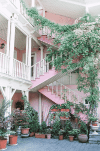 courtyard plants