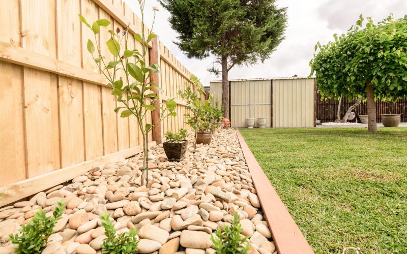 L256 - Ascot Vale - Garden with rocks