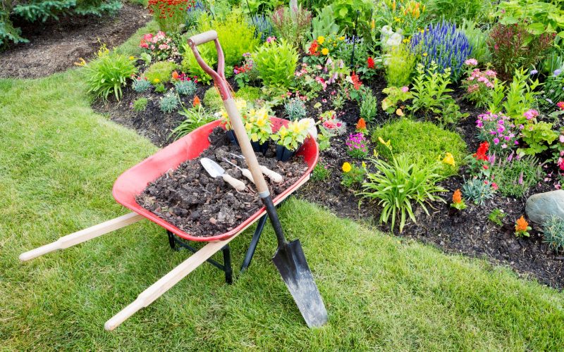 Wheelbarrow and Garden Tools